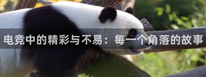 米兰电竞平台：电竞中的精彩与不易：每一个角落的故事