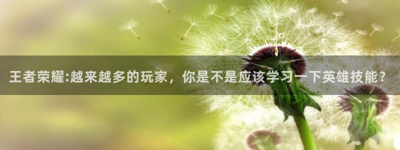 米兰电竞网站：王者荣耀:越来越多的玩家，你是不是应该学习一下英雄技能？