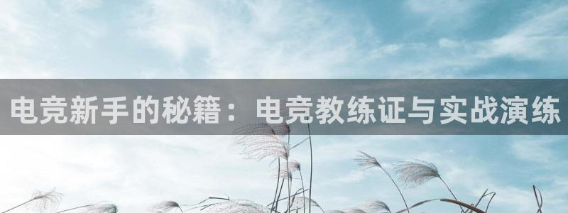 米兰电竞平台