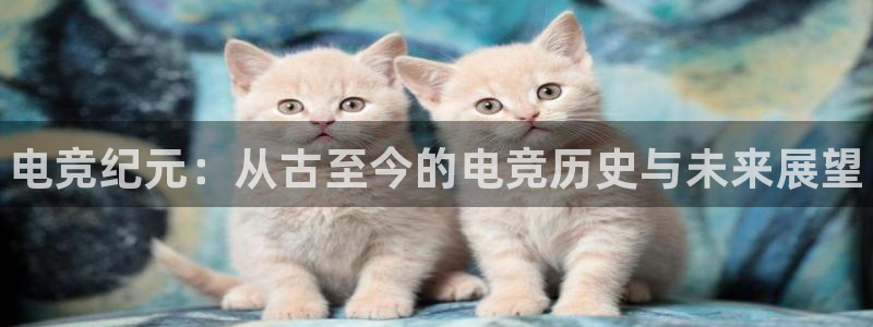 米兰电竞官网：电竞纪元：从古至今的电竞历史与未来展望