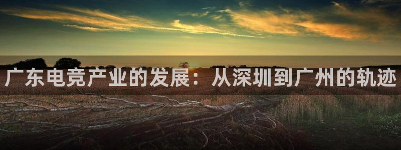 米兰电竞app下载：广东电竞产业的发展：从深圳到广州的轨迹