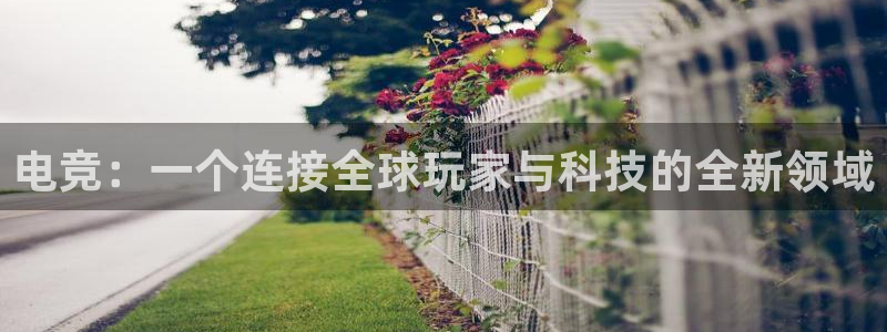 米兰电竞网站入口