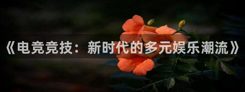 米兰电竞电子竞技平台：《电竞竞技：新时代的多元娱乐潮流》