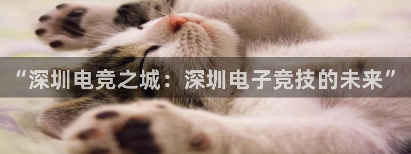 米兰电竞app下载