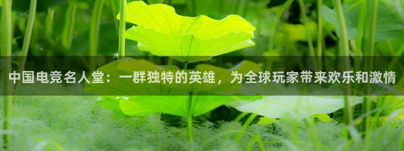 米兰电竞App官方：中国电竞名人堂：一群独特的英雄，为全球玩家带来欢乐和激情