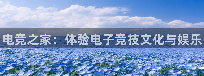 米兰电竞平台