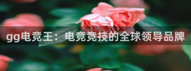 米兰电竞电子竞技平台