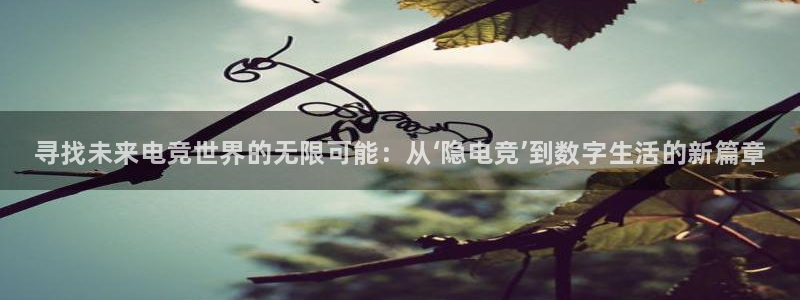 米兰电竞平台官网：寻找未来电竞世界的无限可能：从‘隐电竞’到数字生活的新篇章