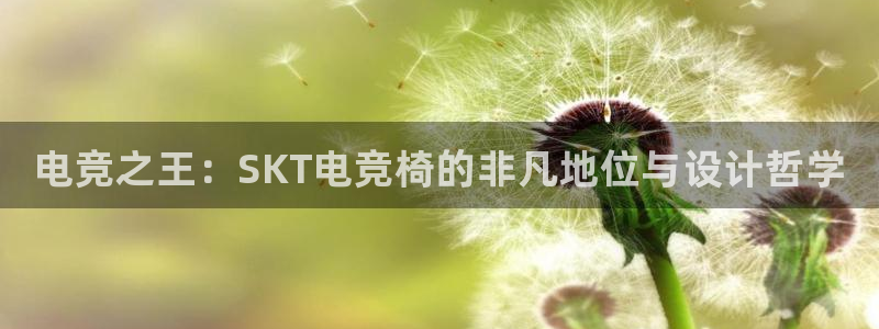 米兰电竞官网：电竞之王：SKT电竞椅的非凡地位与设计哲学