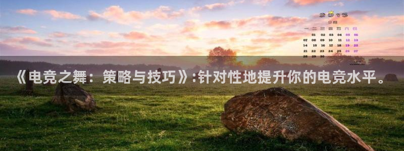米兰电竞网站人口：《电竞之舞：策略与技巧》:针对性地提升你的电竞水平。