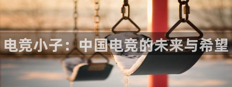 米兰电竞首页：电竞小子：中国电竞的未来与希望