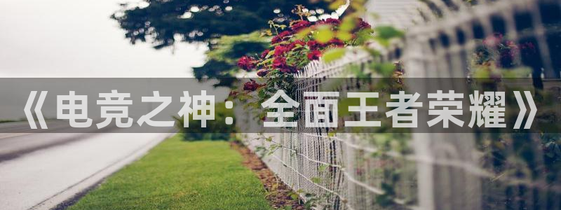 米兰电竞游戏：《电竞之神：全面王者荣耀》