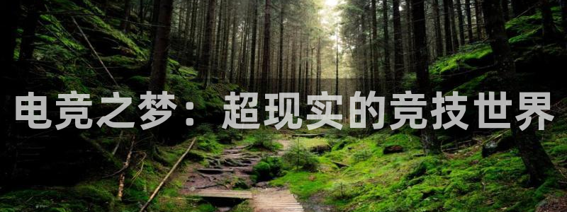 米兰电竞官网：电竞之梦：超现实的竞技世界
