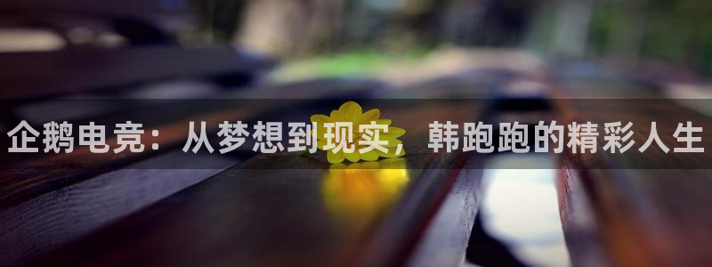 米兰电竞网站入口：企鹅电竞：从梦想到现实，韩跑跑的精彩人生