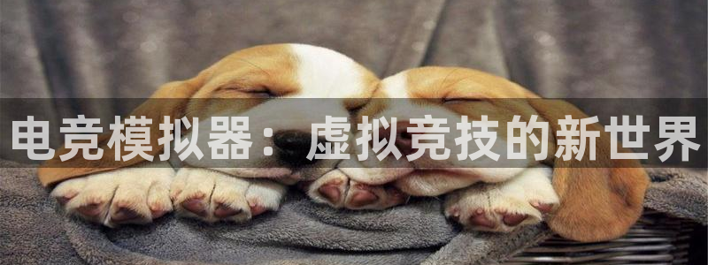 米兰电竞官方网站：电竞模拟器：虚拟竞技的新世界