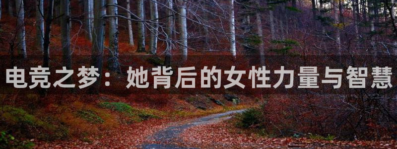 米兰电竞网页版入口：电竞之梦：她背后的女性力量与智慧