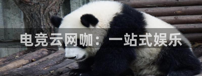 米兰电竞App官方：电竞云网咖：一站式娱乐