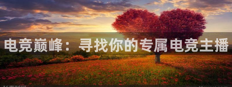 米兰电竞官方网站：电竞巅峰：寻找你的专属电竞主播
