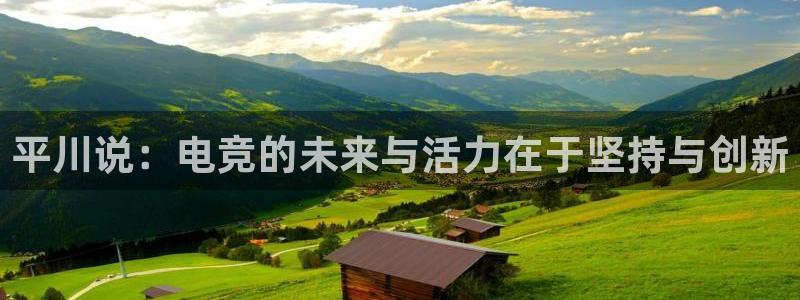 米兰电竞app：平川说：电竞的未来与活力在于坚持与创新