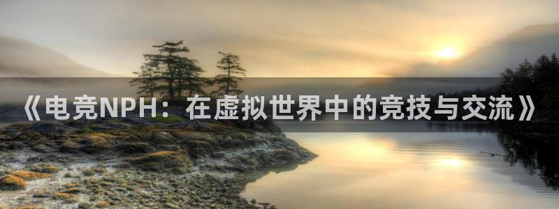 米兰电竞电子竞技平台：《电竞NPH：在虚拟世界中的竞技与交流》