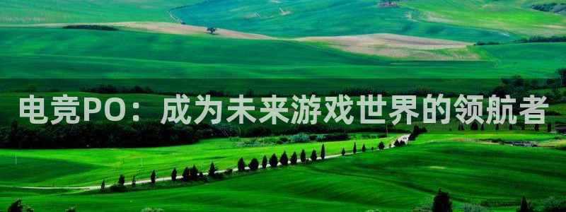 米兰电竞平台官网：电竞PO：成为未来游戏世界的领航者