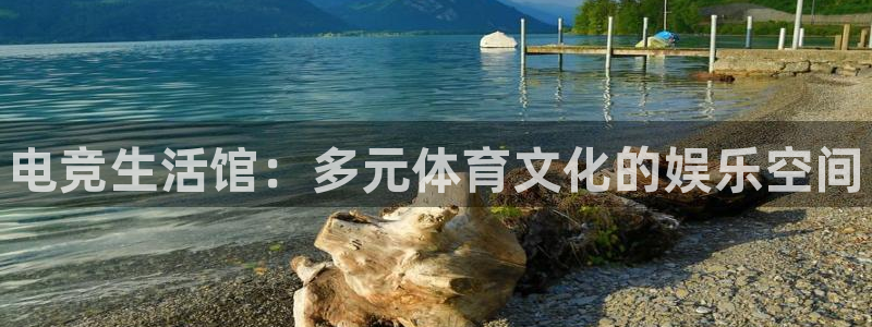 米兰电竞游戏：电竞生活馆：多元体育文化的娱乐空间