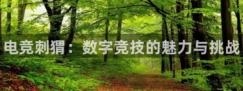 米兰电竞全站：电竞刺猬：数字竞技的魅力与挑战