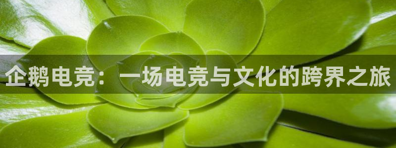 米兰电竞游戏：企鹅电竞：一场电竞与文化的跨界之旅