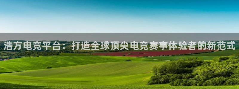 米兰电竞首页：浩方电竞平台：打造全球顶尖电竞赛事体验者的新范式