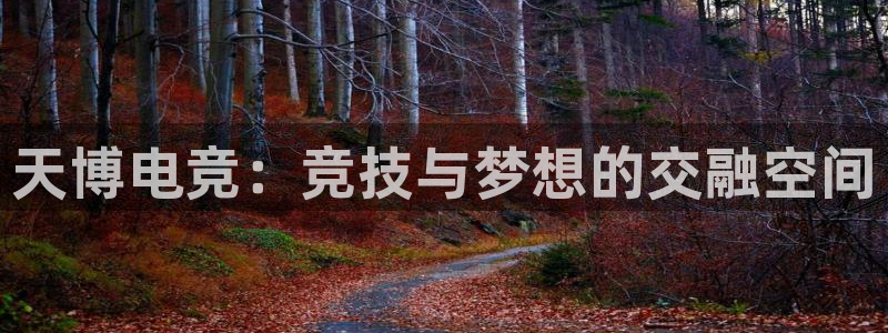 米兰电竞官网：天博电竞：竞技与梦想的交融空间