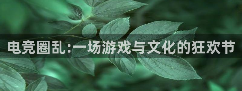米兰电竞App官方：电竞圈乱:一场游戏与文化的狂欢节