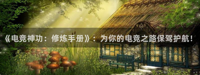 米兰电竞网站入口：《电竞神功：修炼手册》：为你的电竞之路保驾护航！