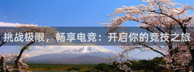 米兰电竞在线官网：挑战极限，畅享电竞：开启你的竞技之旅