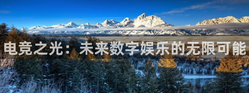 米兰电竞平台官网：电竞之光：未来数字娱乐的无限可能