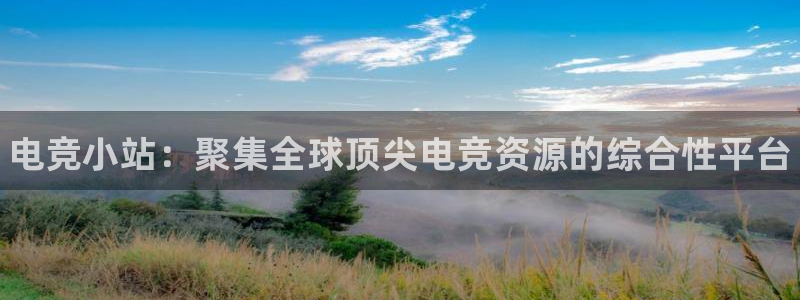 米兰电竞网站入口：电竞小站：聚集全球顶尖电竞资源的综合性平台