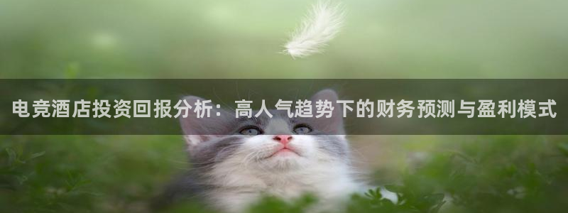 米兰电竞网站人口：电竞酒店投资回报分析：高人气趋势下的财务预测与盈利模式
