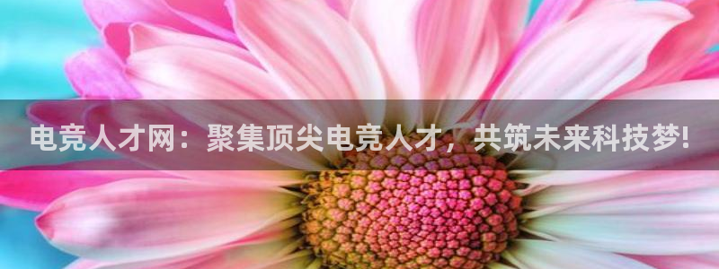 米兰电竞平台