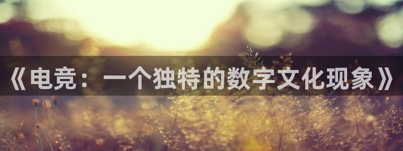 米兰电竞网站人口：《电竞：一个独特的数字文化现象》