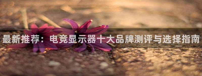 米兰电竞游戏：最新推荐：电竞显示器十大品牌测评与选择指南