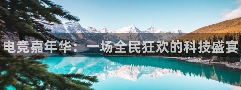 米兰电竞网址：电竞嘉年华：一场全民狂欢的科技盛宴