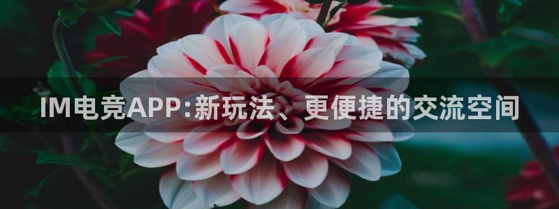 米兰电竞首页：IM电竞APP:新玩法、更便捷的交流空间