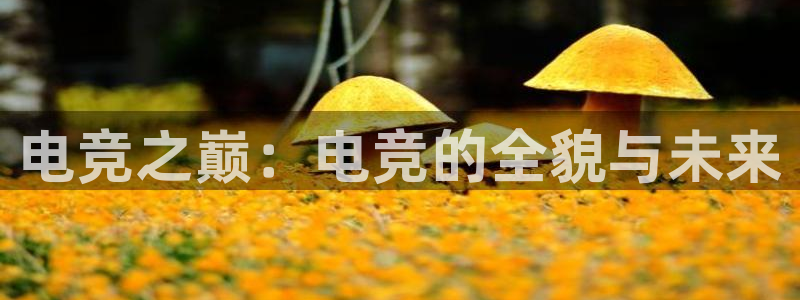 米兰电竞网站人口：电竞之巅：电竞的全貌与未来