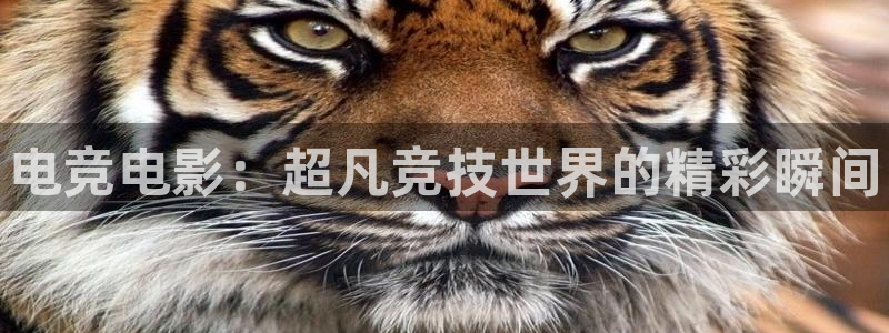 米兰电竞在线：电竞电影：超凡竞技世界的精彩瞬间