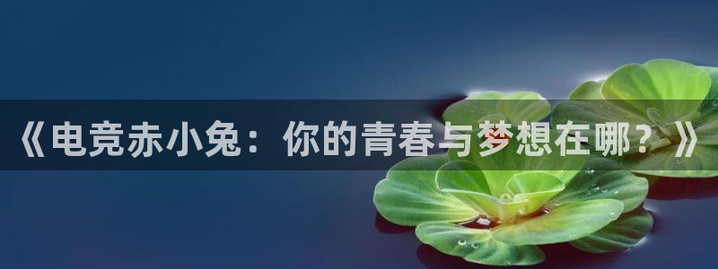 米兰电竞app下载：《电竞赤小兔：你的青春与梦想在哪？》