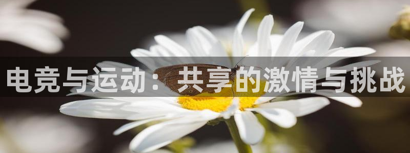 米兰电竞App官方：电竞与运动：共享的激情与挑战