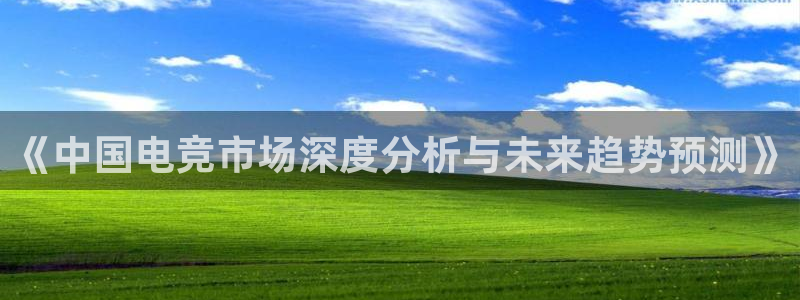 米兰电竞平台官网：《中国电竞市场深度分析与未来趋势预测》