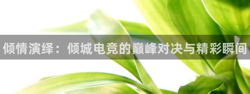 米兰电竞首页：倾情演绎：倾城电竞的巅峰对决与精彩瞬间
