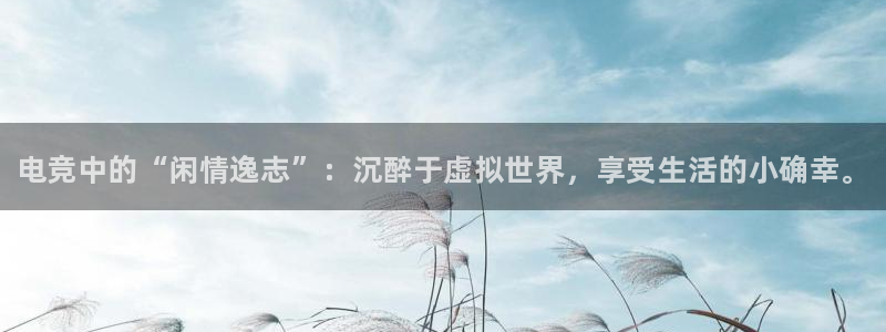 米兰电竞官方网站：电竞中的“闲情逸志”：沉醉于虚拟世界，享受生活的小确幸。
