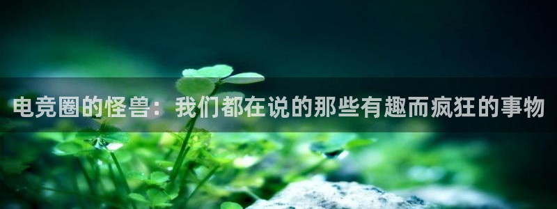 米兰电竞网站入口：电竞圈的怪兽：我们都在说的那些有趣而疯狂的事物