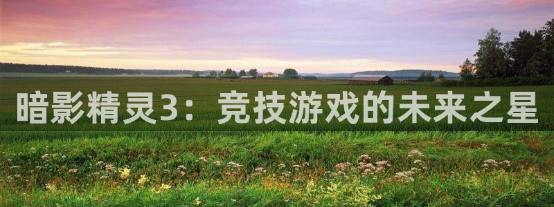 米兰电竞网页版入口：暗影精灵3：竞技游戏的未来之星